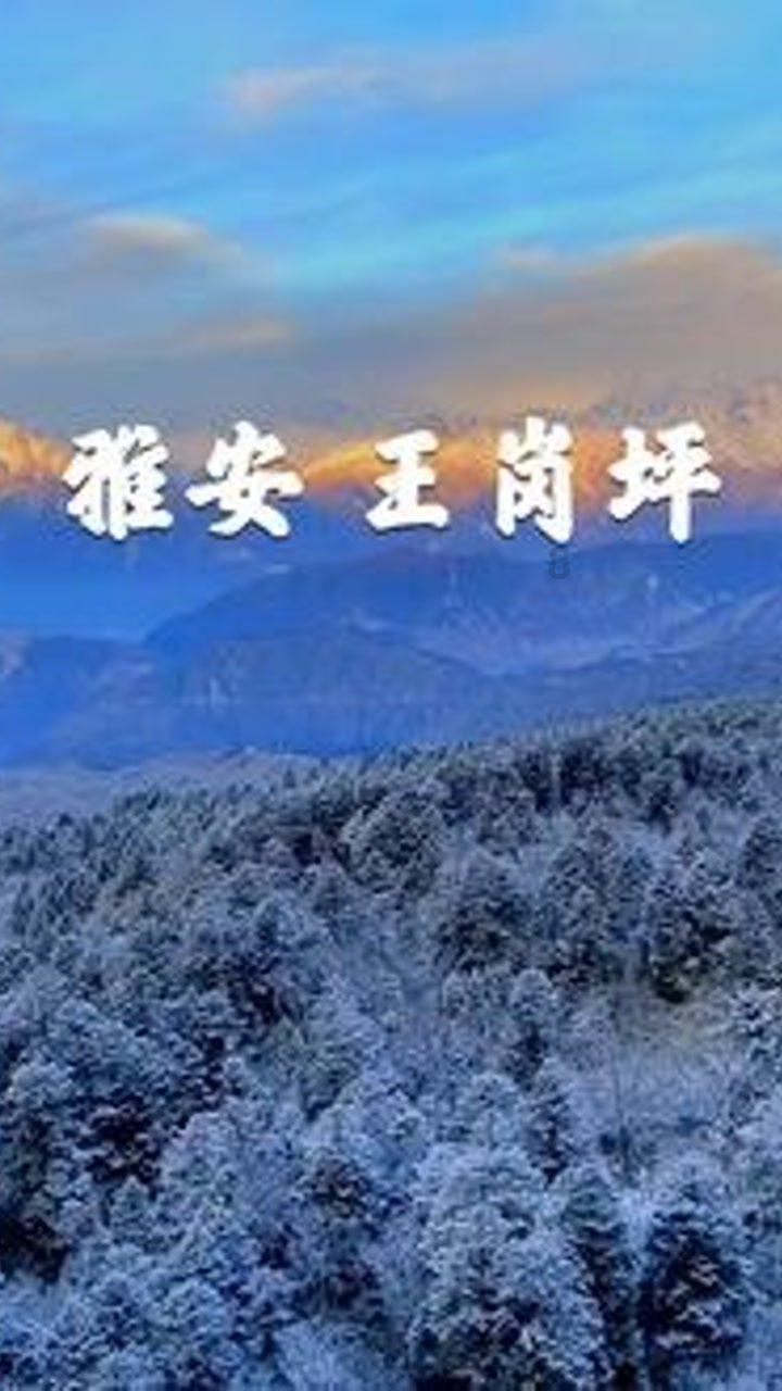 这项补贴毕业生能领！来看→